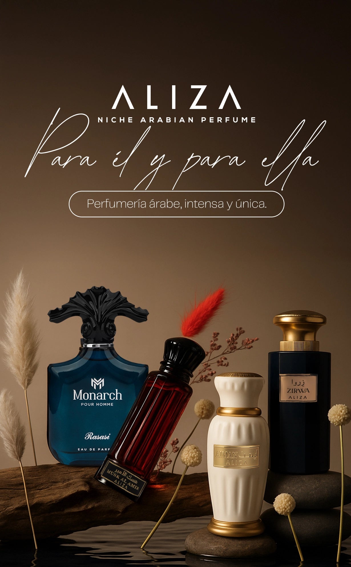 Imagen de diapositiva