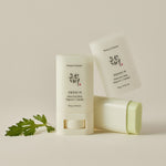 Matte Sun Stick: Mugwort + Camelia SPF 50+ PA++++ - The Beauty Box